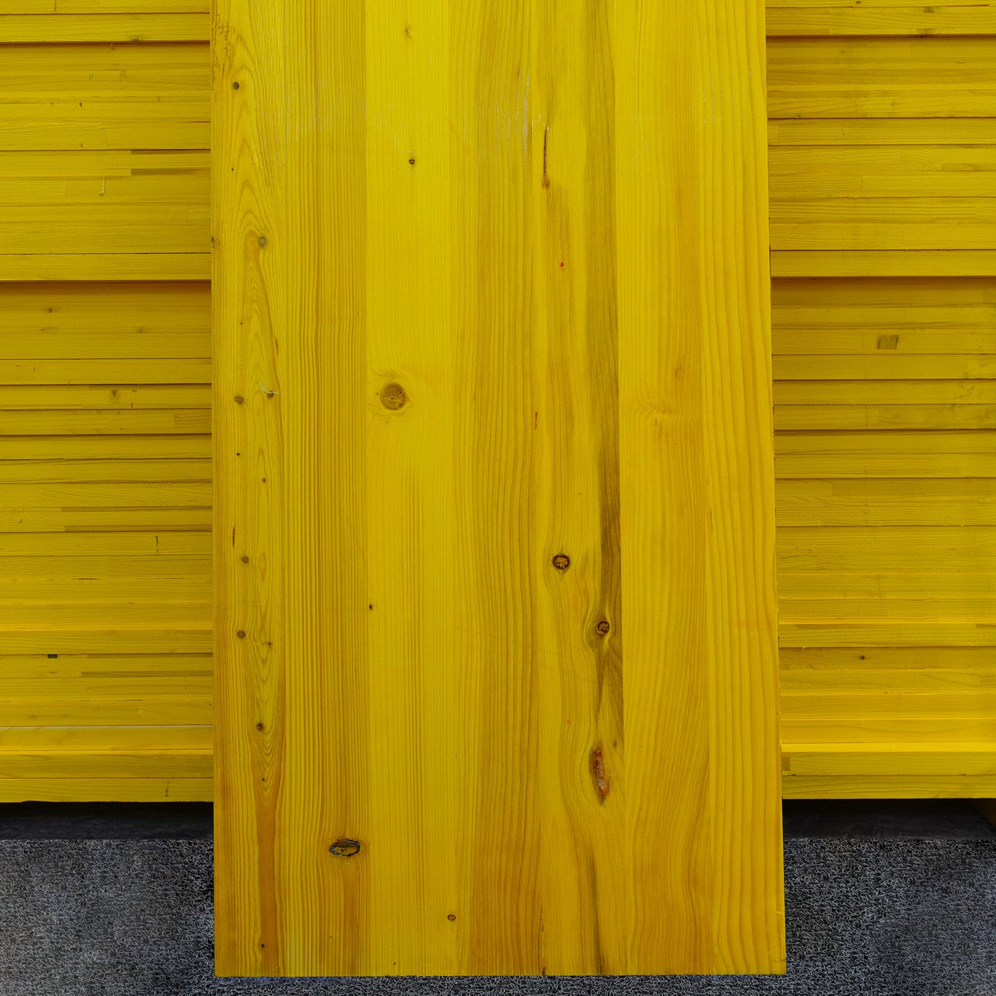 Pannelli Gialli - 250cm di prima scelta