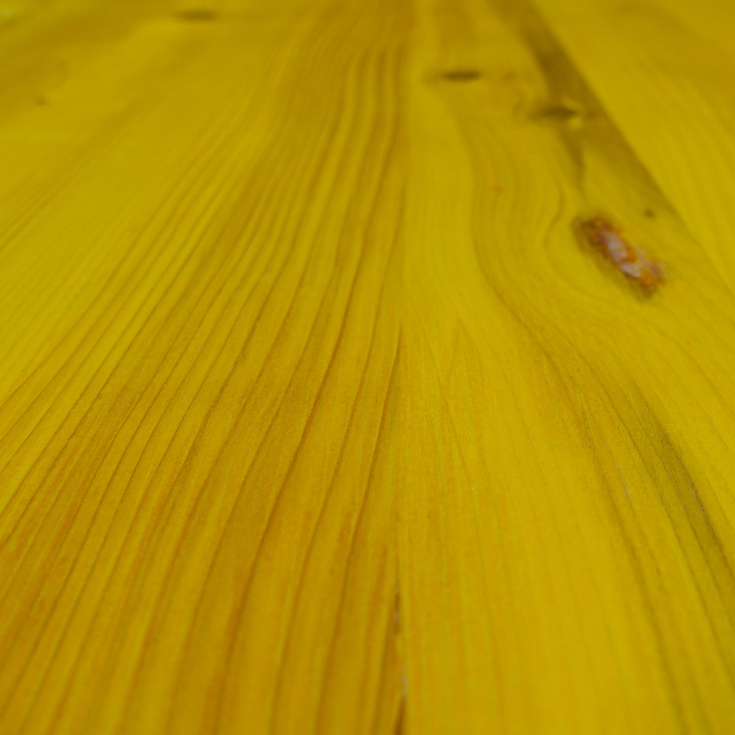 Pannelli Gialli - 200cm di prima scelta